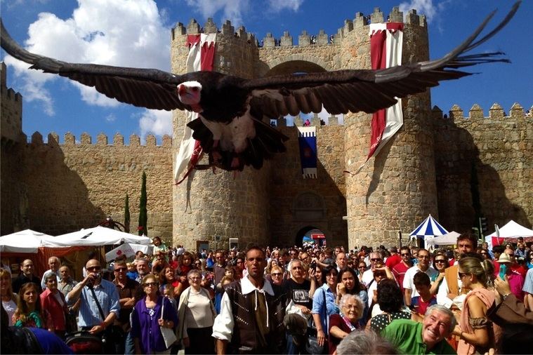 Cartel de las Jornadas Medievales de Ávila 2013. “Volando por el Grande” -Ivonne Mercedes Domínguez Barón -Muralla como telón de fondo.