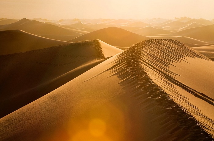 Fotograma de la película Dune