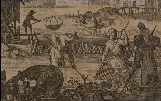 Detalle de escena de pesca. Grabado de Philippe Galle, 1582-1600. BNE