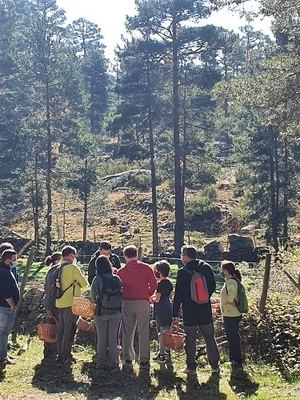 ESCAPADA DE OTOÑO A GREDOS