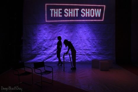 THE SHIT SHOW