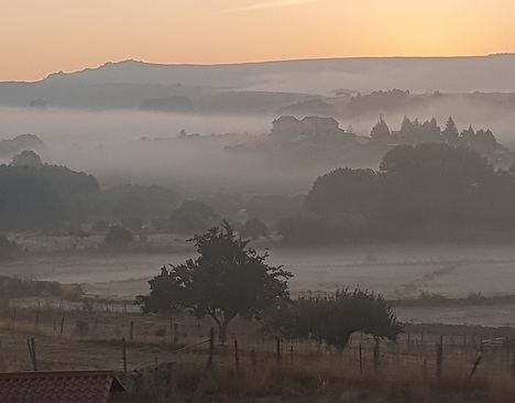 Niebla en la mente