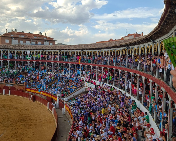 Toros y vaquillas de San Roque