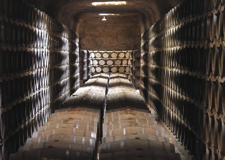 Son nueve las bodegas que han heredado la tradición vinícola de Tomelloso y que tienen el objetivo común de conseguir la máxima calidad en sus vinos 