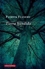 "Tierra hundida", el nuevo thriller de Patrick Flanery
